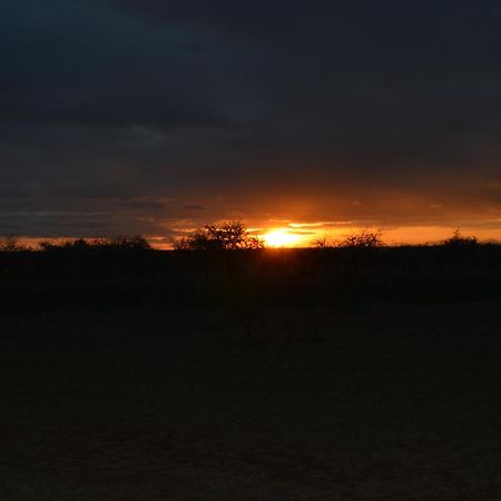 Wild Amboseli Ndovu Cottage. Extérieur photo