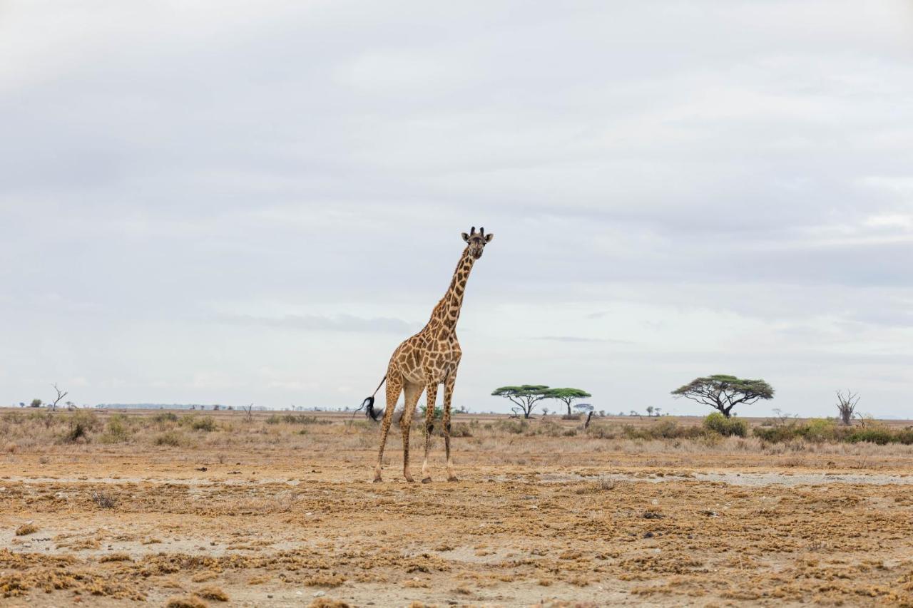 Wild Amboseli Ndovu Cottage. Extérieur photo