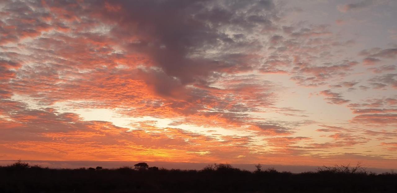 Wild Amboseli Ndovu Cottage. Extérieur photo