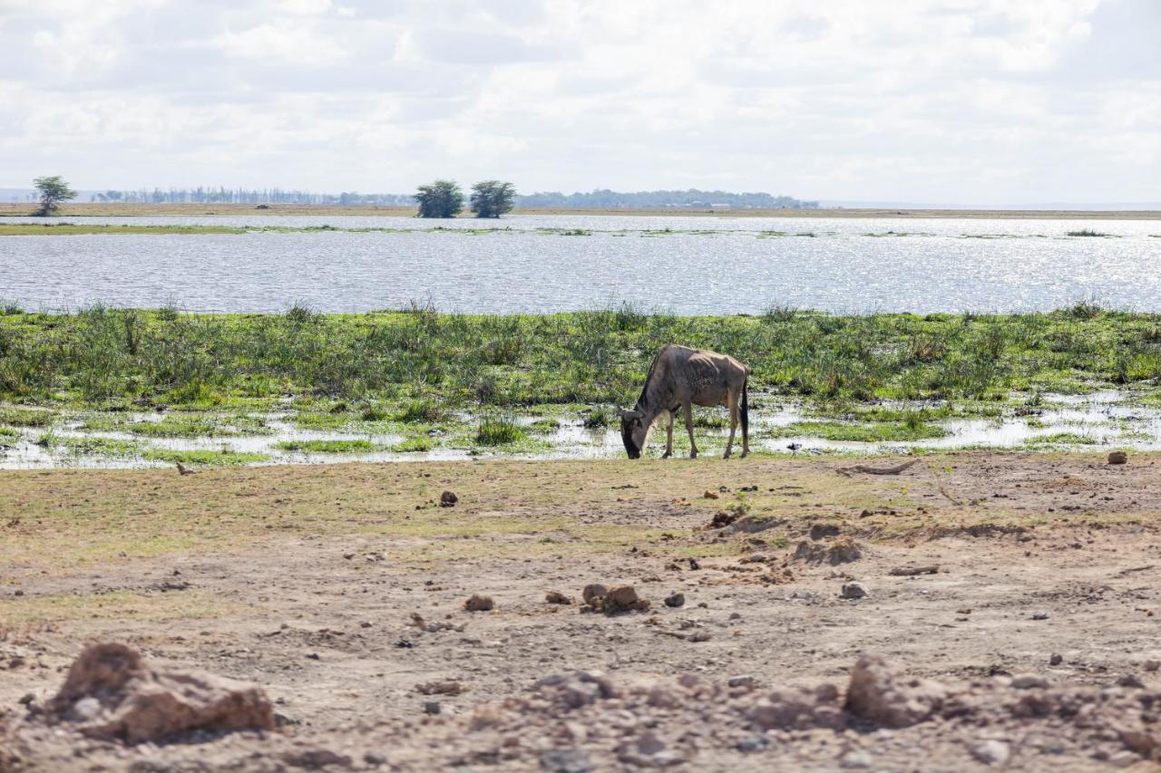 Wild Amboseli Ndovu Cottage. Extérieur photo