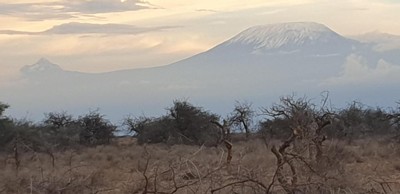 Wild Amboseli Ndovu Cottage. Extérieur photo