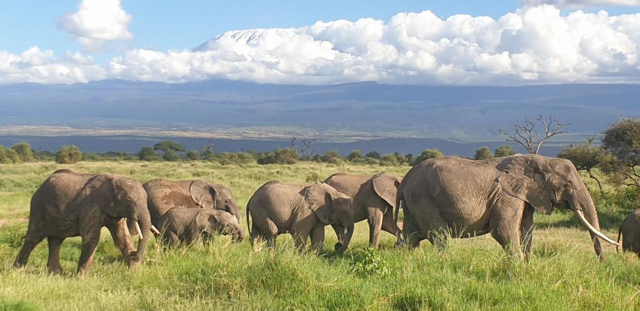 Wild Amboseli Ndovu Cottage. Extérieur photo