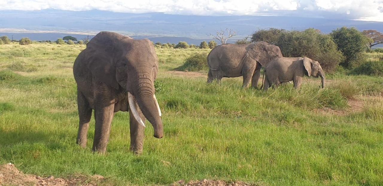 Wild Amboseli Ndovu Cottage. Extérieur photo