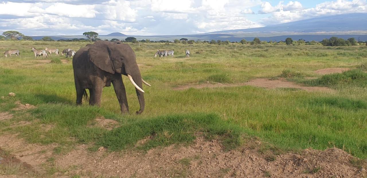 Wild Amboseli Ndovu Cottage. Extérieur photo