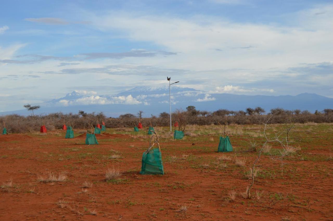Wild Amboseli Ndovu Cottage. Extérieur photo