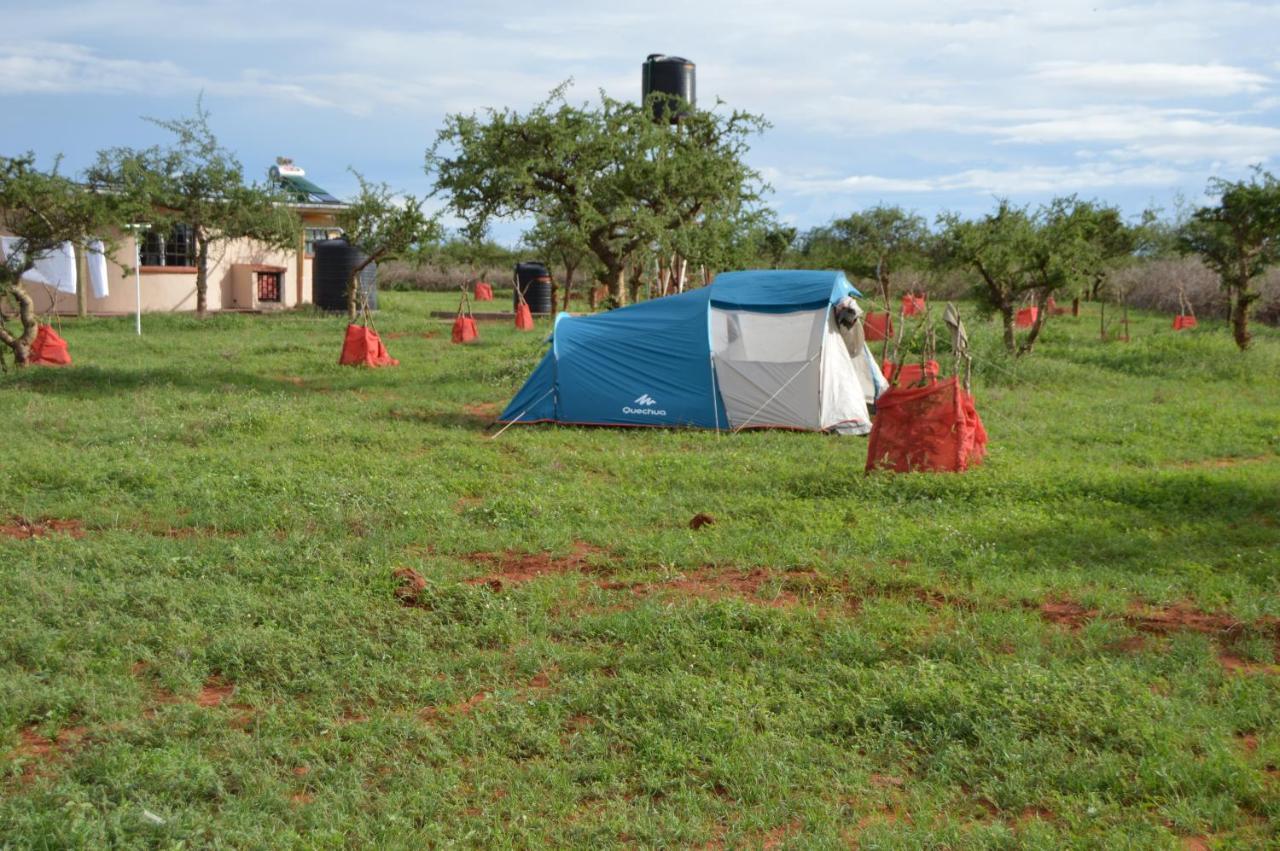 Wild Amboseli Ndovu Cottage. Extérieur photo