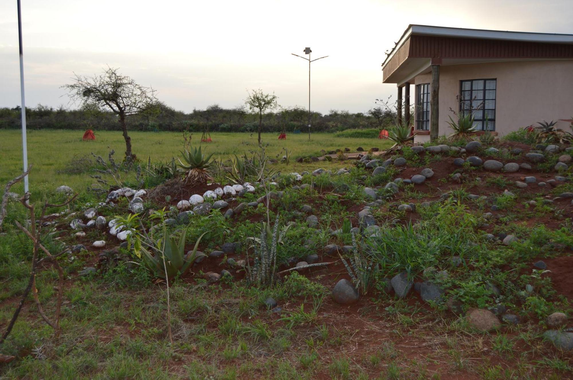 Wild Amboseli Ndovu Cottage. Extérieur photo