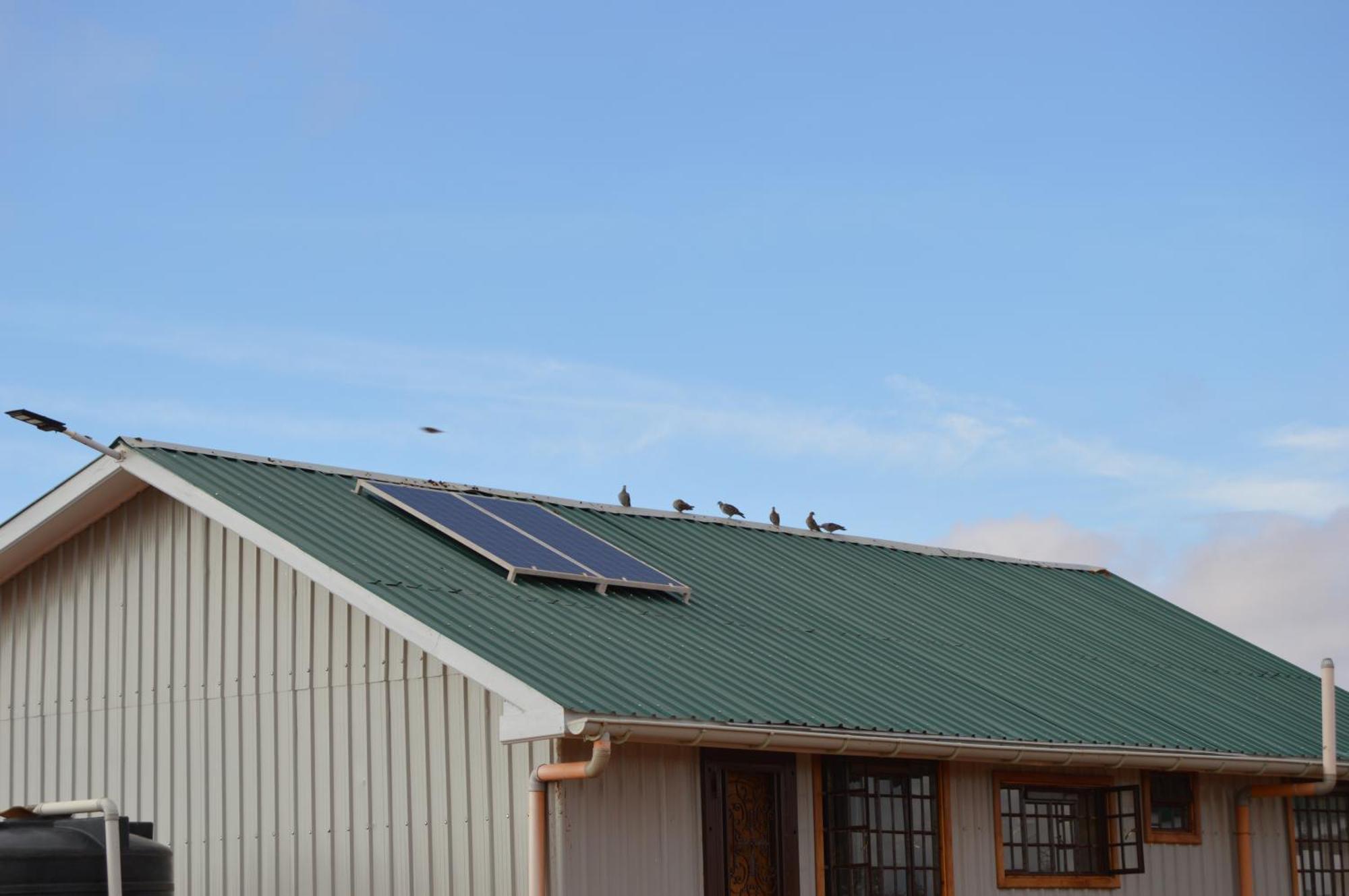 Wild Amboseli Ndovu Cottage. Extérieur photo