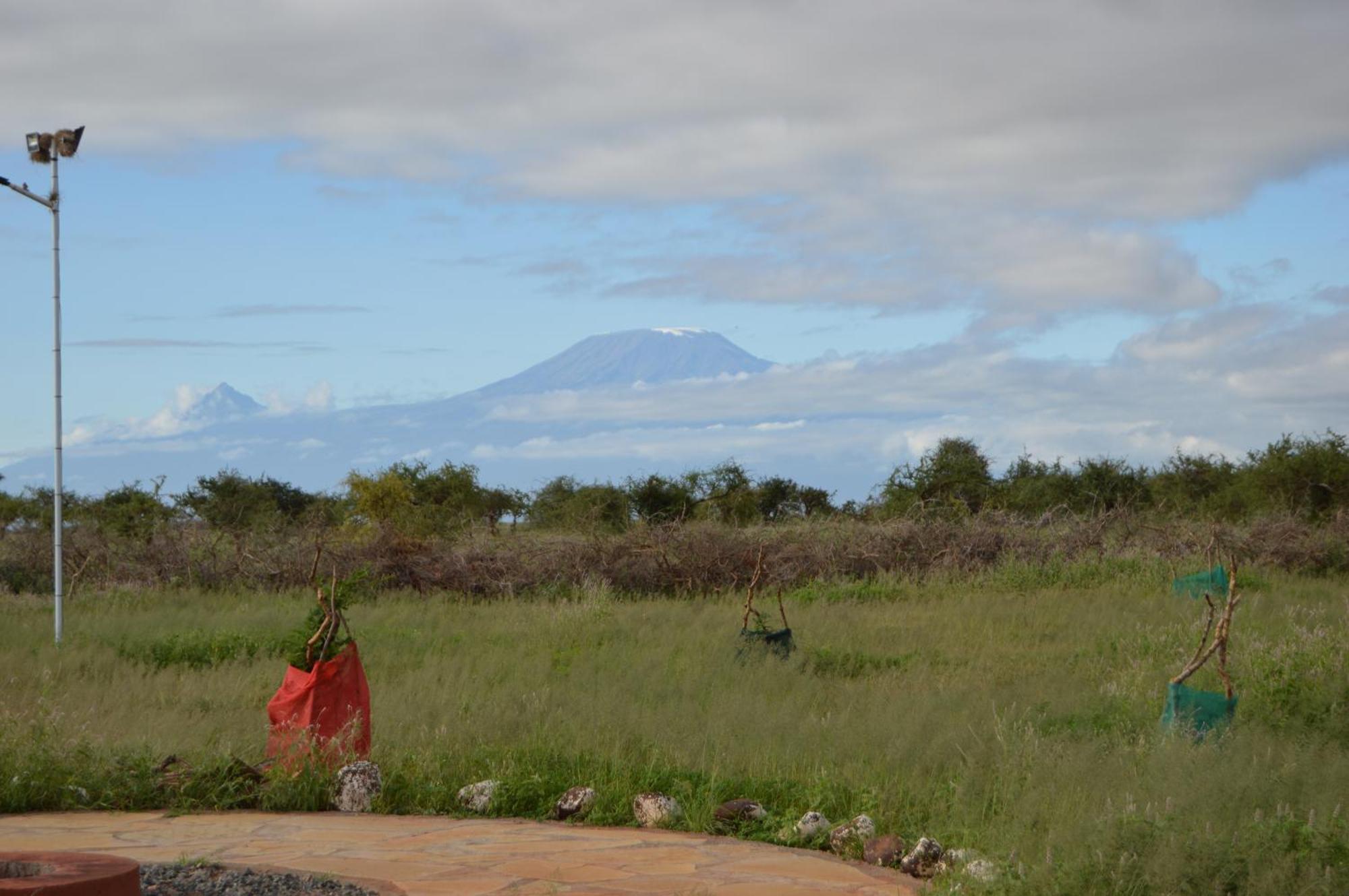 Wild Amboseli Ndovu Cottage. Extérieur photo