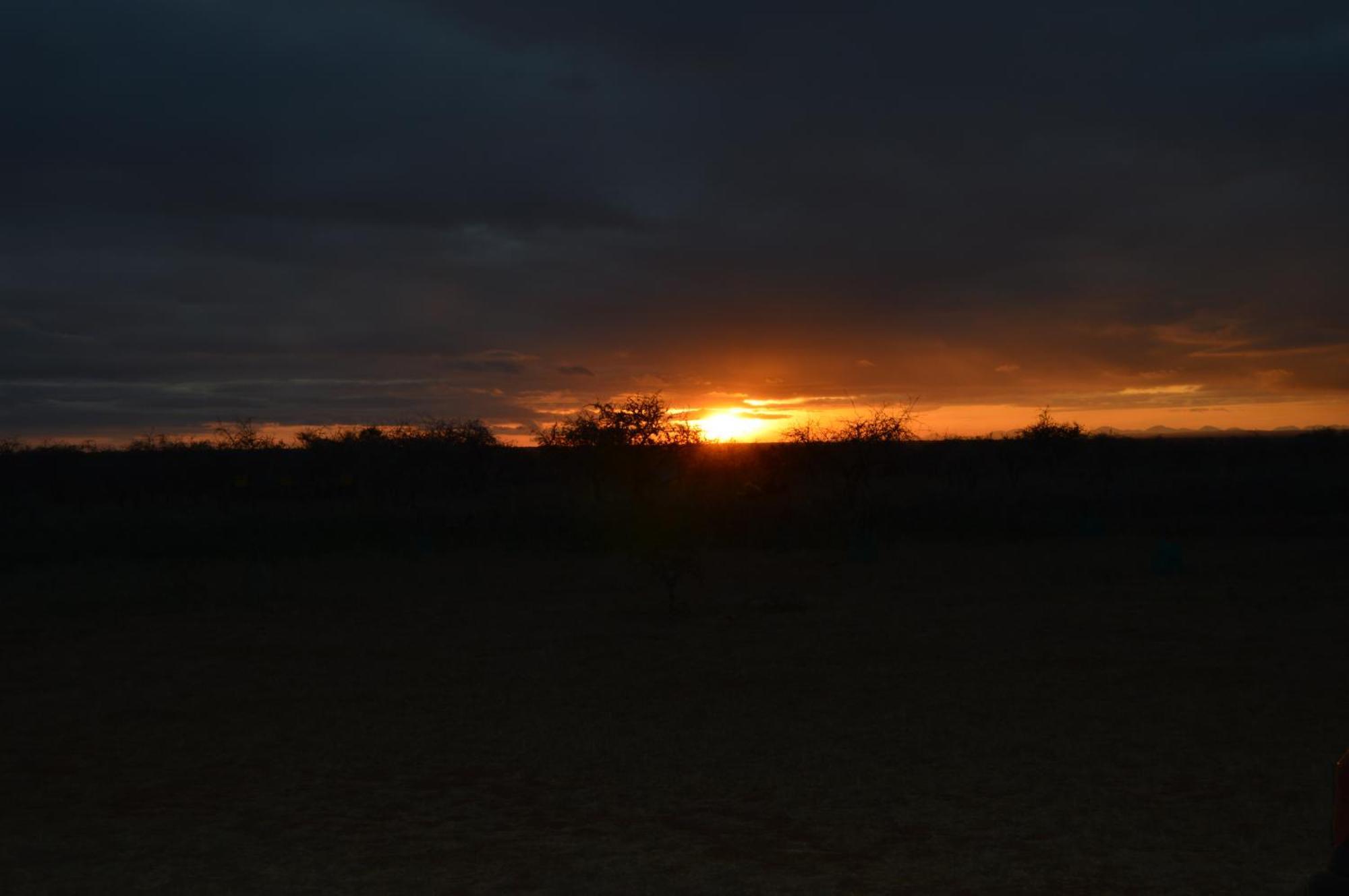 Wild Amboseli Ndovu Cottage. Extérieur photo
