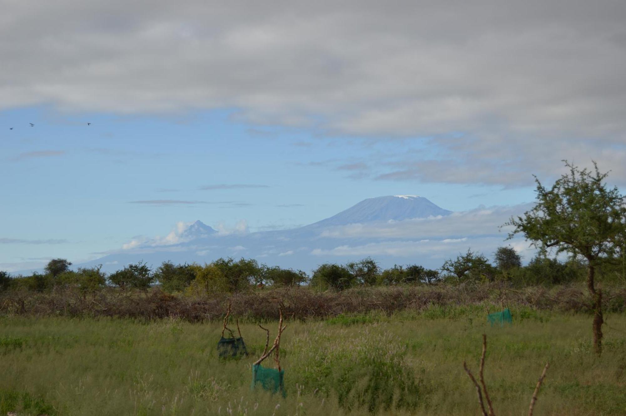 Wild Amboseli Ndovu Cottage. Extérieur photo