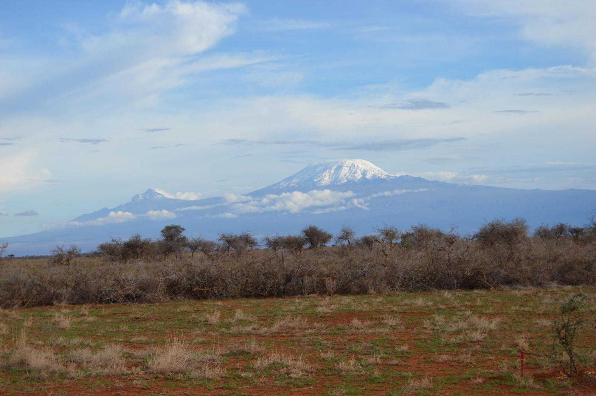 Wild Amboseli Ndovu Cottage. Extérieur photo